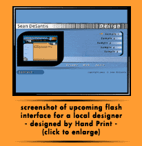 Screenshot of upcoming flash interface for a local designer - designed by Hand Print - (click to enlarge)